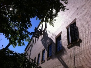 CSMA_New Auditorium windows_2016_01