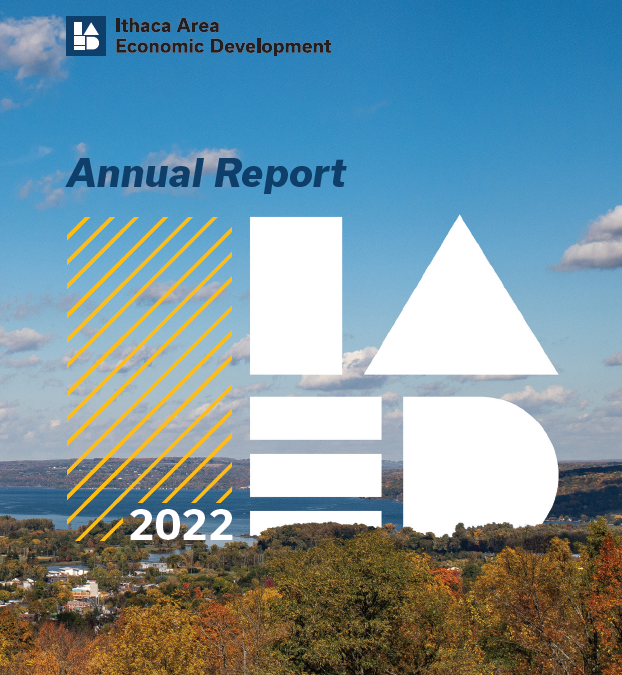 IAED Annual Report to the Community 2022